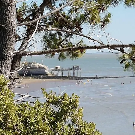 La Palombiere, A 150m *