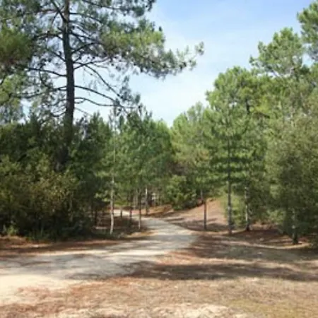 La Palombiere, A 150m *