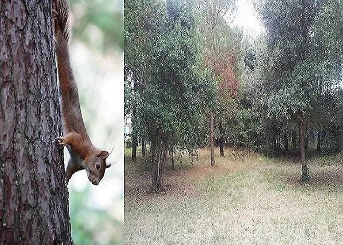 La Palombière, à 150m *