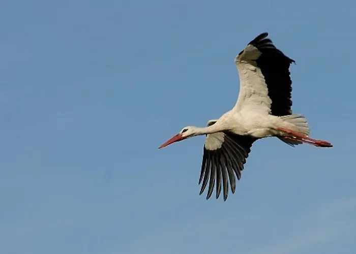 La Palombière, à 150m Chalet *