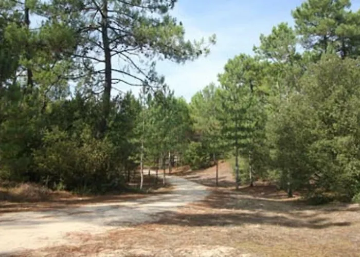 La Palombière, à 150m *